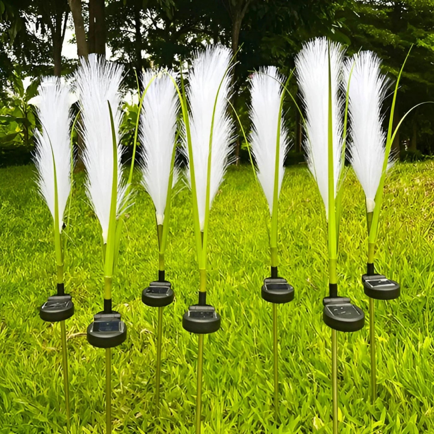 SunGlow | Eco-Friendly Solar-Powered Reed Lamp for Perfect Outdoor Lighting