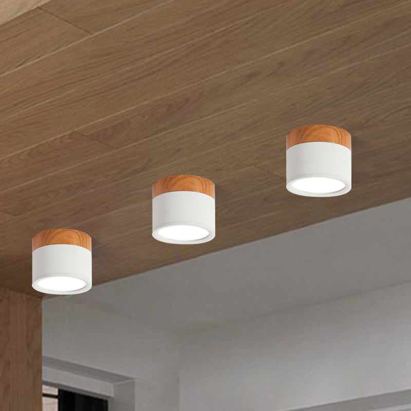 Elegant Macaron Mini Ceiling Light - Trendy & Eco-Friendly
