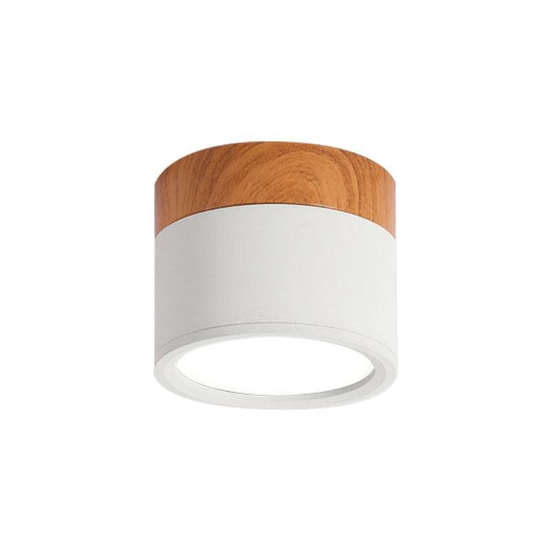 Elegant Macaron Mini Ceiling Light - Trendy & Eco-Friendly