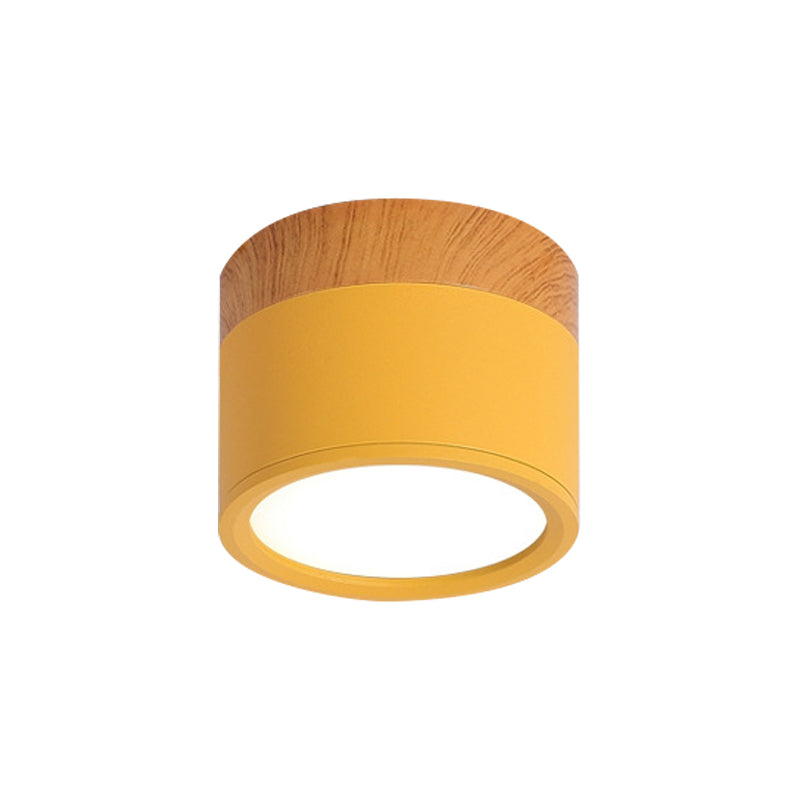 Elegant Macaron Mini Ceiling Light - Trendy & Eco-Friendly