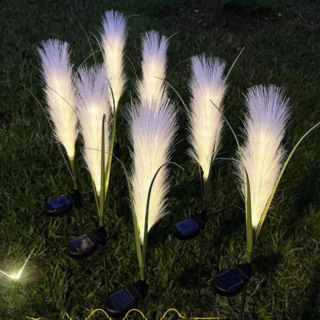 SunGlow | Eco-Friendly Solar-Powered Reed Lamp for Perfect Outdoor Lighting