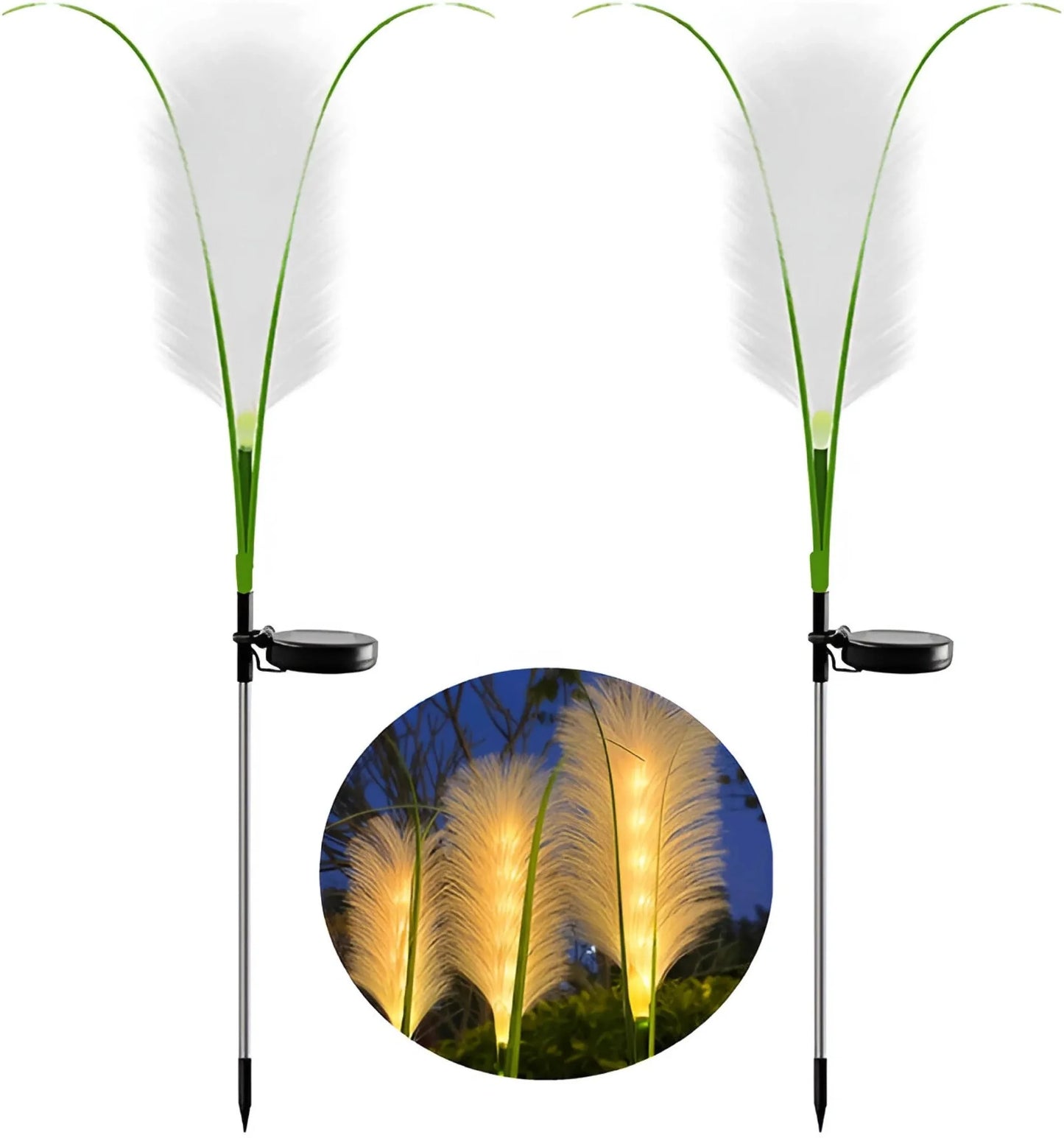 SunGlow | Eco-Friendly Solar-Powered Reed Lamp for Perfect Outdoor Lighting